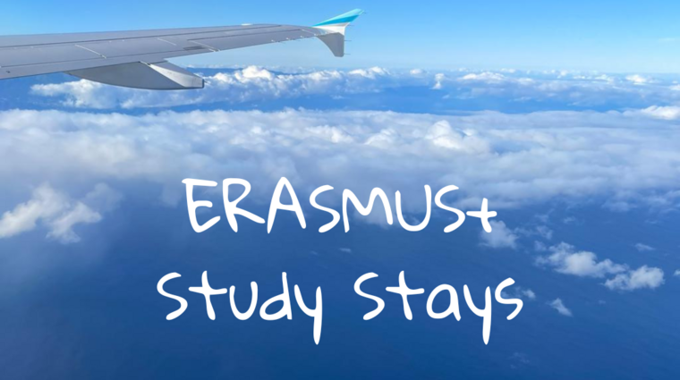 e+ study stays